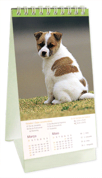 1289931434.gif 1289931434.gif